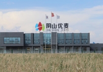 權(quán)威！陰山優(yōu)麥被認(rèn)證為“中國(guó)有機(jī)燕麥第 一品牌”